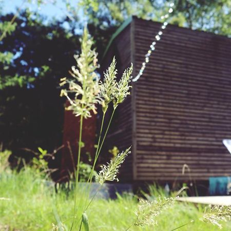 Tiny House Nouvelle Annonce Boho Ocean Hotel Naujac-sur-Mer Eksteriør billede